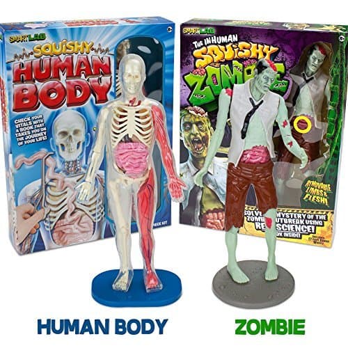 The Grossest Guts Bundle: Squishy Human Body and Inhuman Squishy Zombie with 2 Free Storage Bags