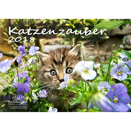 Premium Calendar 2018; DIN A3; Cat Magic; Cat Greeting Card – Christmas Card Edition and Soul Magic – Gift Set of 4