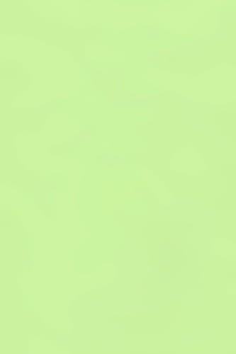 Galaxy Heavyweight Vinyl Tablecloth, 52X70 Oblong (Rectangle), Seafoam [Kitchen]