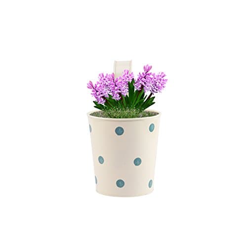 Nuha Railing Plante - Rust Free Single Pot Railing Planter with Polka dots, Combo, Flower Pot, Wall Planter, Metal Planter, Garden Planter, Return Gift, Birthday Gift, Home Decor, Garden Decor