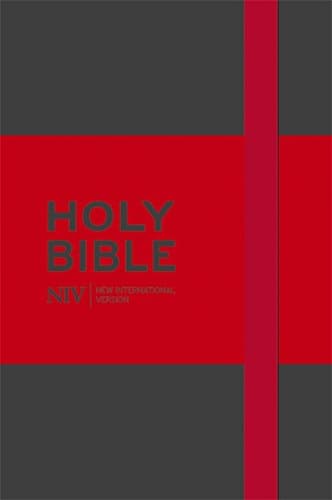 The Holy Bible: New International Version. (Grey)