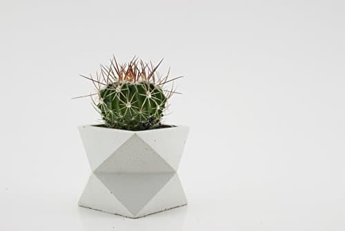 White Single Tier Geometric Planter / Concrete Pot / White Plant Pot