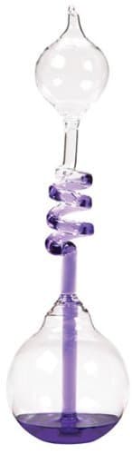 Westminster Hand Boilers (purple) by Westminister