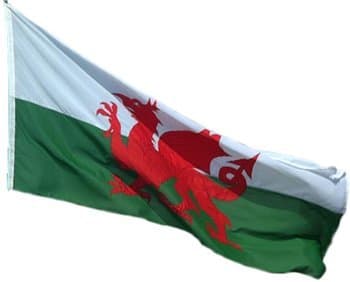 Grifri Welsh National Flag 5ft x 3ft