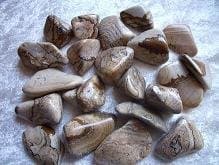 Picture Jasper Tumblestones x 3