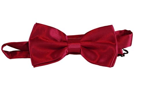 Bow Tie Pre-Tied Adjustable Length by Amazing Apparel (Red)