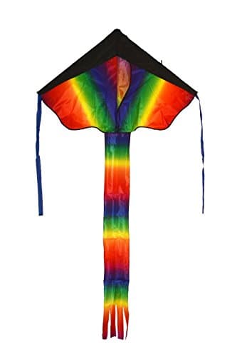 Rainbow Kite For Kids,43-inch - Easy to Assemble, Launch and Fly (200' of Line)
