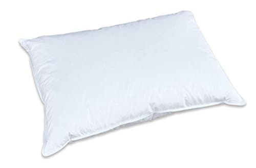 Creative Living Solutions Natural Goose Feather Down 100% Cotton Case Pillow Queen Size 20"x30"