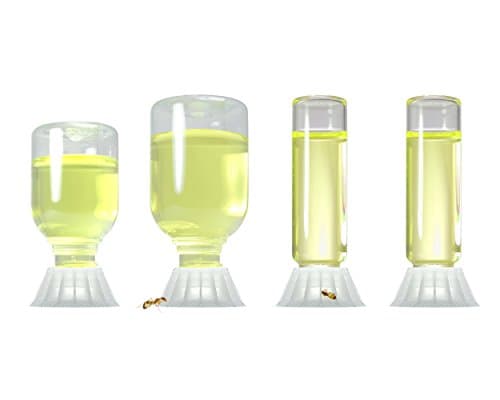 byFormica Ant Products Liquid Feeder For Ants, Assorted Large Sizes: For Water, Sugar Water, or Ant Nectar
