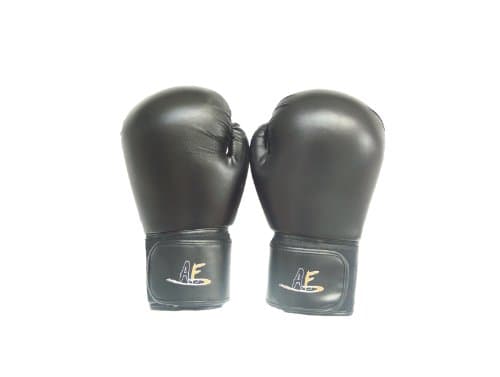 AF Pro-Training Gloves w/Velco (10 oz, 12 oz, 14 oz)