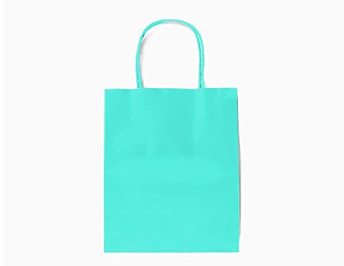 24CT Medium Mint Biodegradable, Food Safe Ink & Paper, Premium Quality Paper (Sturdy & Thicker), Kraft Bag with Colored Sturdy Handles (Medium, Mint)