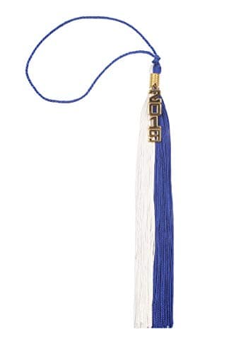 Two-Colored Graduation Tassel with Gold/Silver 2019 Year Charm