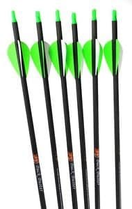 Summit Archery Products Victory Buck Buster Carbon Arrows (Dozen Pack) - 350 Spine
