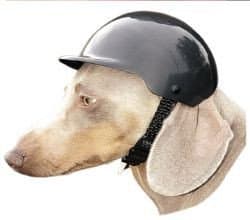 Dog Bike Helmet