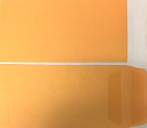 License Plate Envelopes 100 per box for Car Dealership (Plain - Self Seal)