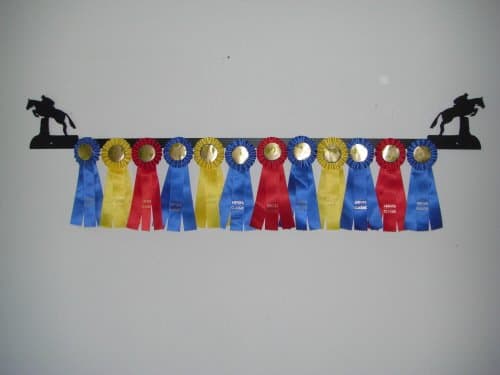 Showoff award racks - Horse