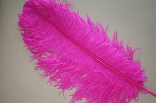 1 Pc Ostrich Feather Plume 18"-23" (Top Quality) - HOT PINK