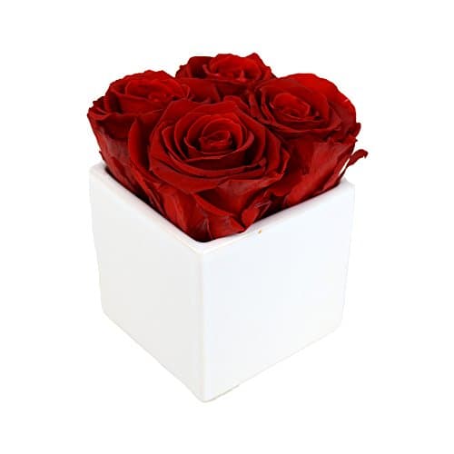 Luxe Bloom Home Collection 4 Fresh Cut Preserved Crimson Red Roses in a 3" White Ceramic Cube Vase Lasts 60 days