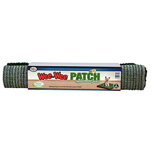 Four Paws - Replacement Grass For Wee Wee Patch Small - 100203055-15852