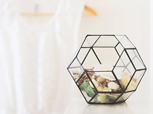 Waen Terrarium Collection Medium Glass Geometric Terrarium Container (Copper, Silver, Black)