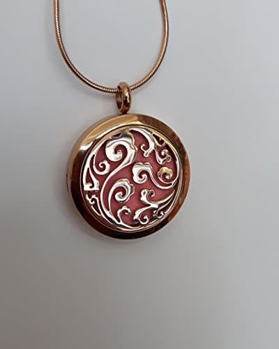 Squirell Aromatherapy Essential Oils Necklace Sky Locket Pendant Smooth Chain Rose Gold Gift Jewelry Coloured Pads