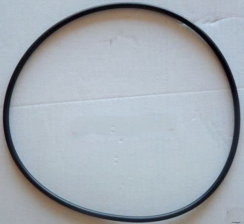 Sta-Rite DuraGlas/MaxEGlas Pool Pump Seal Plate O-Ring Part U9-228A