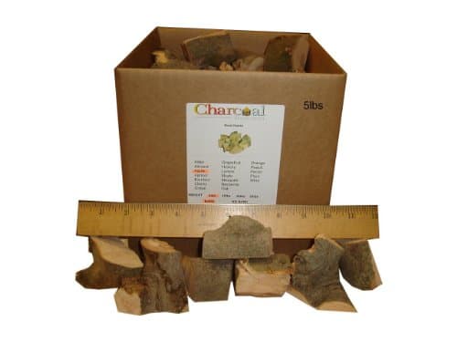 CharcoalStore Apple Smoking Wood Chunks - Bark (5 Pounds)