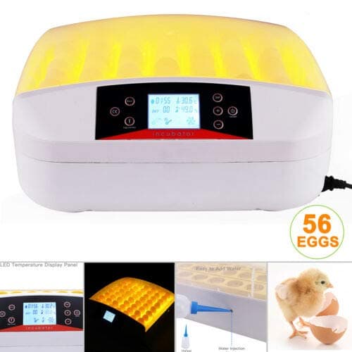 Canvoi 56 Digital Egg Incubator Egg Hatcher Automatic Turner Poultry Chicken Bird Duck