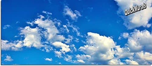 Peel and Stick 8ft Wide x 3ft 6inch High 3D Instant Wall Mural Printed ON SELF Adhesive Canvas! Removeable & Re-usable! (Clouds Panoramic Wall Mural)