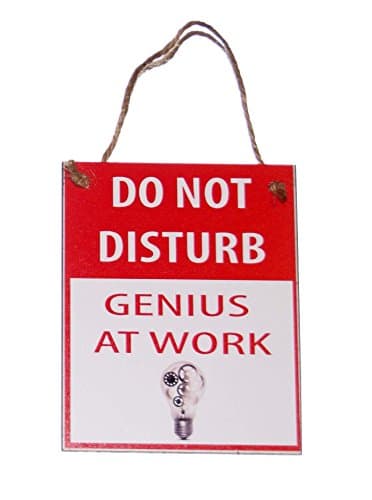 tiggersmall Do Not Disturb Genius at Work with Lightbulb Novelty Funny 4x5 Wood Door Hanger
