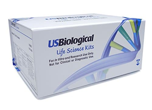 Macro Creatine Kinase (Macro-CK) BioAssay™ ELISA Kit (Rat), 196298-96Tests