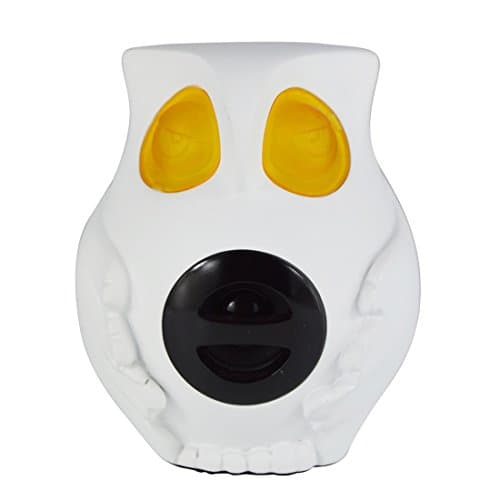 HOMESHINE Portable Wireless Bluetooth Speaker Owl for Home Decor