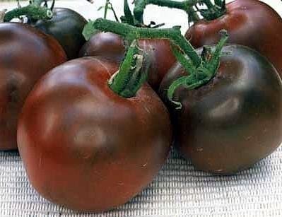 Black Prince Tomato Seeds 30 Seed Pack by OrganicSeedSupply