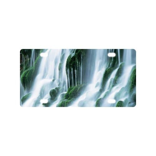 Falls License Plate-12" X 6" inches