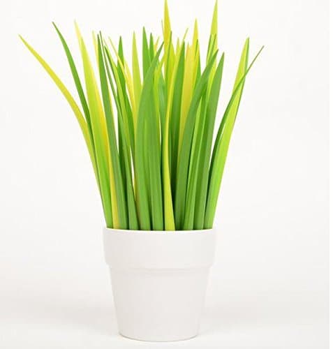 Forest Green Grass-blade Ballpoint Silicon Grass Pen Black Ink Pack of 6