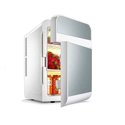 Mini Fridge, ECVILLA Coolbox 2 Door Compact Refrigerator Cooler and Warmer (20 Liter) for Home Office Car or Boat - 12V DC and 110V AC (Silver)