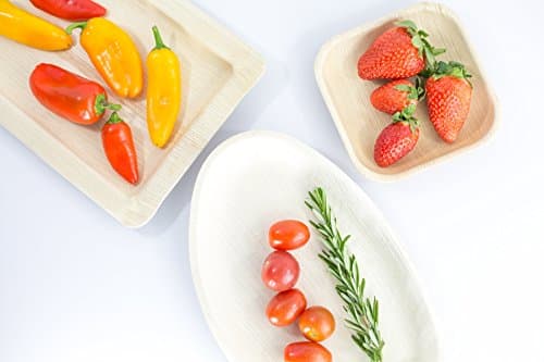 Ridyaa Palm Leaf Plates ( 8 Inch Square 50 Count) – FREE GIFT!!! Natural, Biodegradable, Disposable,Eco friendly Dinnerware – Upscale and affordable; Use for any occasion – 100% Compostable