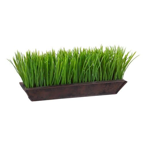 Grass in Rectangular Planter I