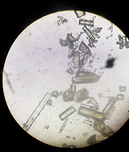 5g Harmine (telepathine) (CAS: 442-51-3) HCl