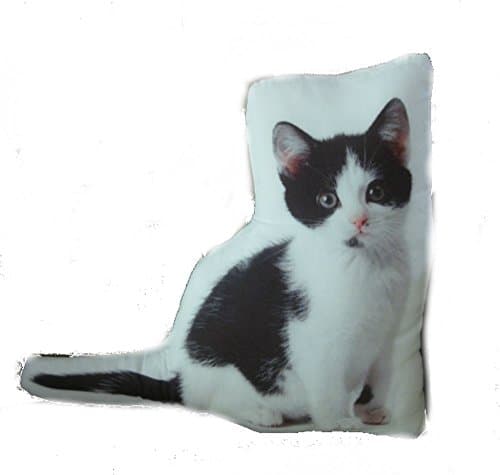 Cat Themed Accent Pillow, Black and White Kitten, 16" x 14.5" x 4".