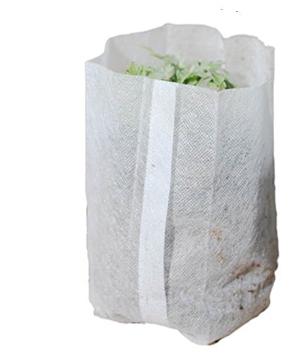 6.5" Extra Deep 30 Growing Bags mini Aeration Fabric Seedling Planting Pots Size: 4" x 4" x 6.5"