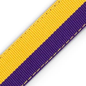 Team Colors -Gold &amp; Purple