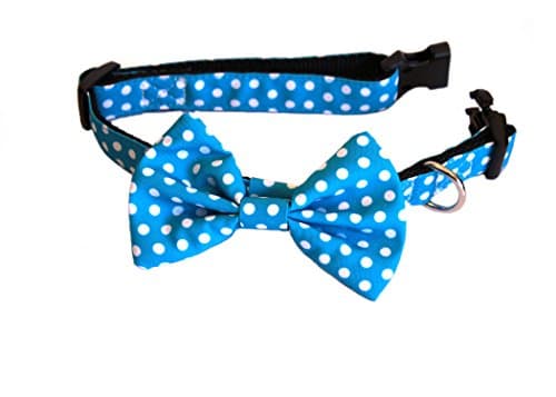 Bowtie Dog Collar - Adjustable for All Size Dogs