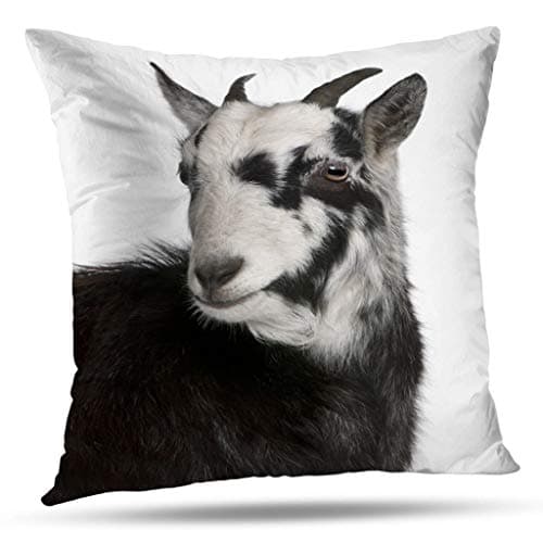 Pakaku Decorative Pillows Case Throw Pillows Covers for Couch Indoor Bed 20 x 20 Inch,Goat West France Old Front White Goat Cute Old Home Sofa Cushion Cover Pillowcase Gift Bed Car Living Home