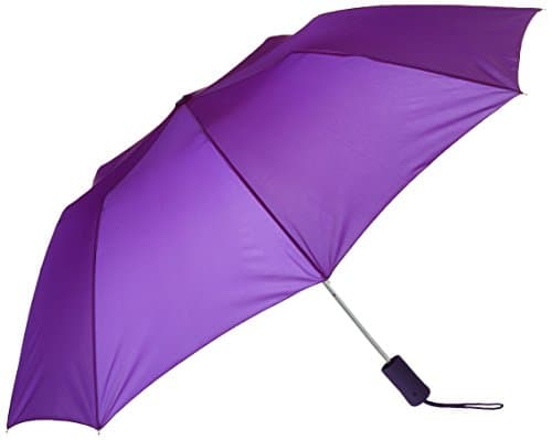 Rainkist 43" Auto Open, Purple, One Size