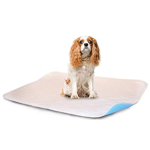 LennyPads Ultra Absorbent, Leak Proof, Washable Pee Pads - 1 Pack (91 cm x 91 cm) XXL