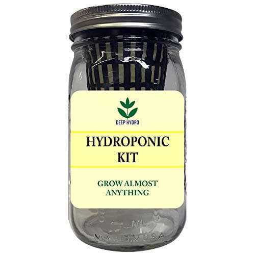Hydroponic Garden Jar Kit - Grow It All
