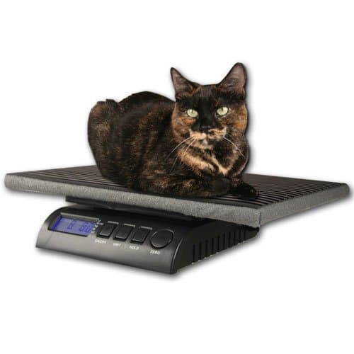 ZIEIS | 30 Lb. Capacity | Digital Pet Scale - Cat and Dog Series | Z30P-COZY | 12" X 16" BigTop Cozy Pawz Platform | TuffTop Cover | 0.1 Ounce Accuracy