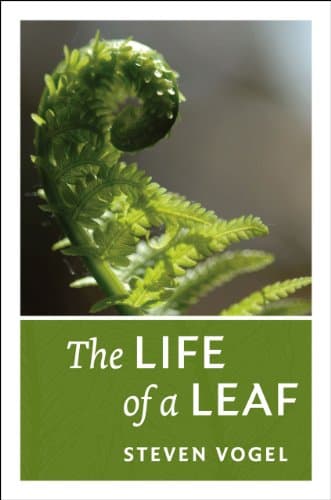The Life of a Leaf