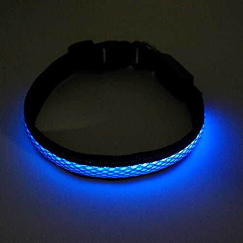 Dog LED light Collar + Leash Rechargeable | Night Safety Flashing Bundle Set | Great for Gift for Dog Lover/Mom/Dad/Owner (Large (19 – 24” / 49 – 61cm), Blue)